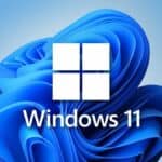 Windows 11 desktop background with logo
