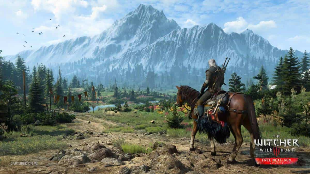 The Witcher 3: Wild Hunt gameplay screenshot on PC